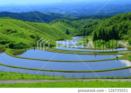 Ogida in early summer (Sanzan village, Kumamoto prefecture) Ogida in early summer (Sanzan village, Kumamoto prefecture) 126735051