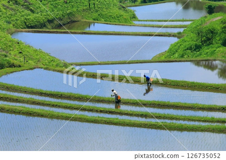 Ogida in early summer (Sanzan village, Kumamoto prefecture) Ogida in early summer (Sanzan village, Kumamoto prefecture) 126735052
