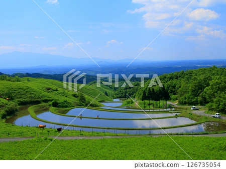 Ogida in early summer (Sanzan village, Kumamoto prefecture) Ogida in early summer (Sanzan village, Kumamoto prefecture) 126735054