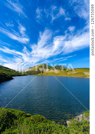 [山材]初秋的白馬禦池[長野縣] 126735099