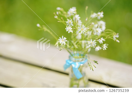 空瓶中展示的白黃花魚 126735239