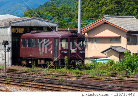 Trains and depot of the Watarase Keikoku Railway Trains and depot of the Watarase Keikoku Railway 126735448