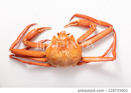 紅雪蟹 126735602