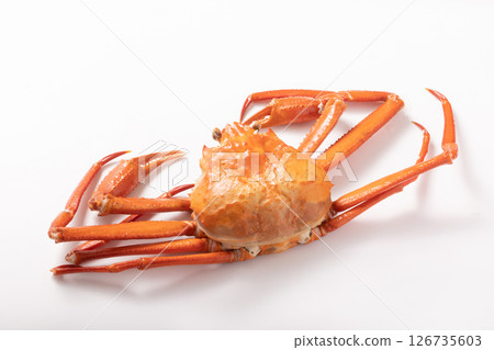 Red Snow crab Red Snow crab 126735603