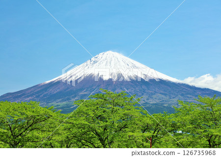Early summer blue sky and fresh green scenery, and Mt. Fuji Early summer blue sky and fresh green scenery, and Mt. Fuji 126735968