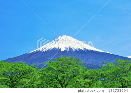 Early summer blue sky and fresh green scenery, and Mt. Fuji 126735994