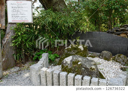 奈良縣吉野山吉水神社、弁慶的強力釘子 126736322