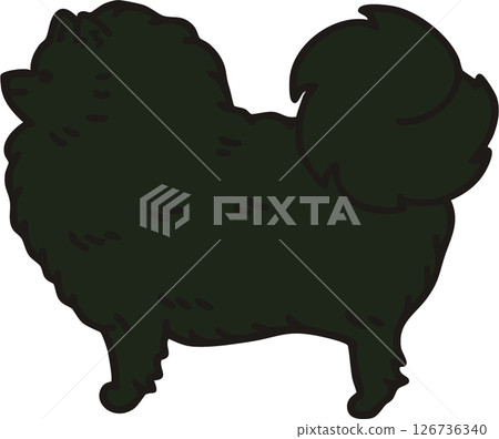 從側面看可愛的博美犬（黑色）的插圖 126736340