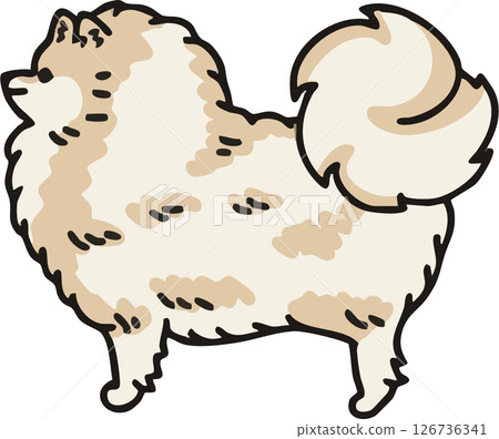 Illustration of a cute Pomeranian (cream) seen from the side 126736341
