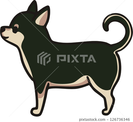 從側面看一隻可愛的光滑吉娃娃（黑色和棕褐色）的插圖 126736346