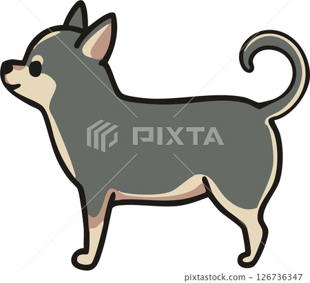從側面看可愛的光滑吉娃娃（藍褐色）的插圖 126736347
