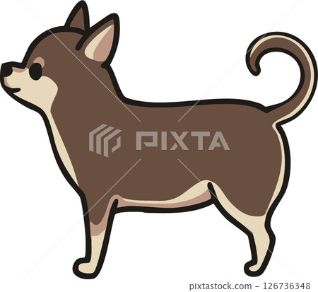 從側面看可愛的光滑吉娃娃(棕褐色)的插圖 從側面看可愛的光滑吉娃娃(棕褐色)的插圖 126736348