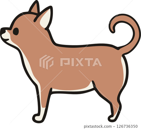 從側面看可愛的光滑吉娃娃（紅色）的插圖 126736350