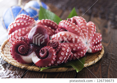 章魚/煮章魚 章魚/煮章魚 126736673