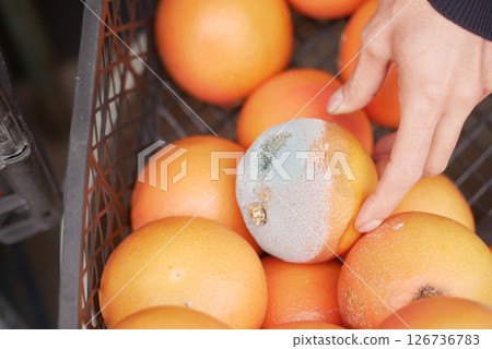 Hand inspecting fruit for quality at a local market 126736783