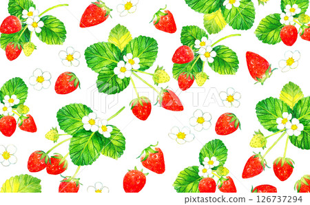 草莓果實背景手繪水彩水果插圖 草莓果實背景手繪水彩水果插圖 126737294