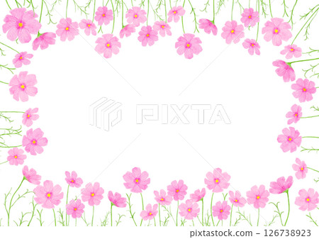 波斯菊水彩秋季插畫 126738923