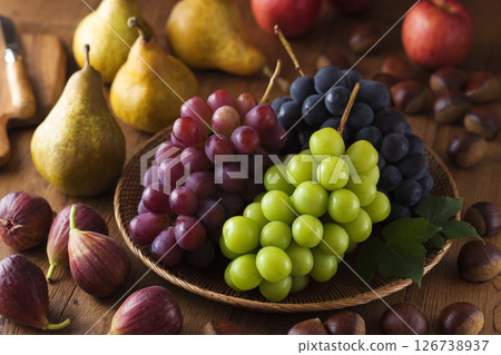 葡萄 葡萄 126738937