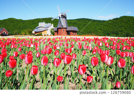 Kamiyubetsu Tulip Park, Hokkaido Kamiyubetsu Tulip Park, Hokkaido 126739080