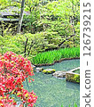 Japanese garden 126739215