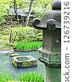 Japanese garden 126739216