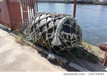Nagoya harbor garden head 126739461
