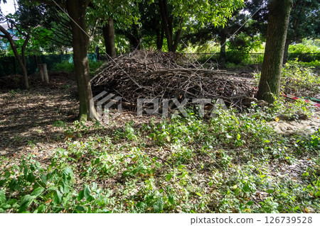 Grass clippings 126739528