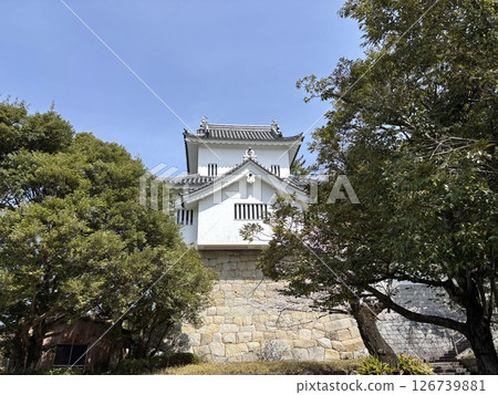 七州城（愛知縣豐田市） 126739881