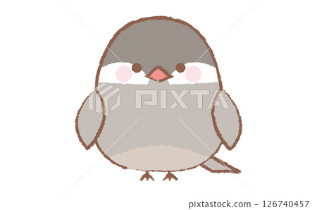 Cute hand-drawn illustration of a Java sparrow 126740457
