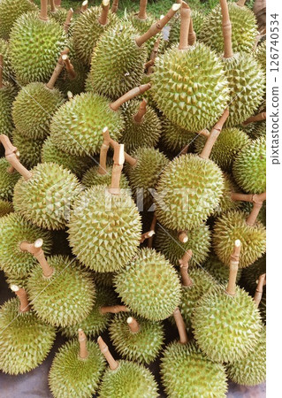 Top view of durian fruit  126740534
