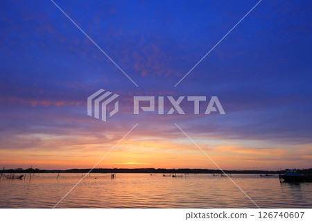 美麗的晨光 126740607