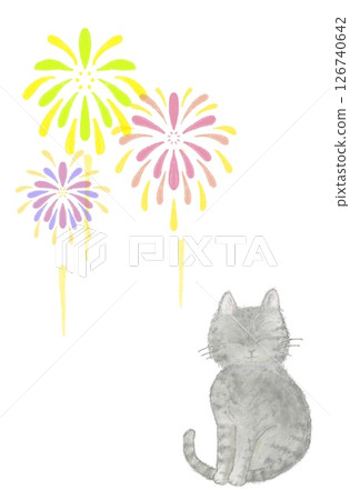 Fireworks and cats 126740642
