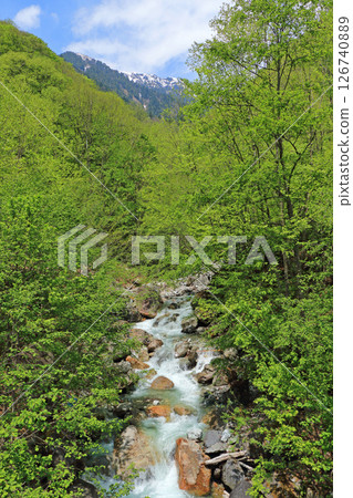 初夏的大町市七倉登山口 初夏的大町市七倉登山口 126740889