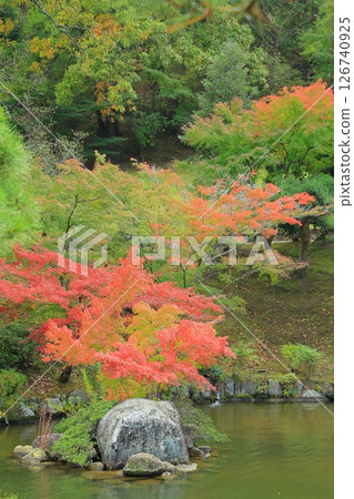 有秋葉的一個庭院 126740925