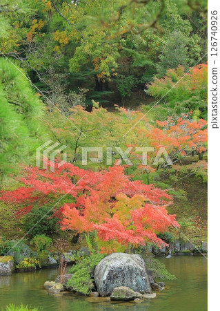 有秋葉的一個庭院 126740926