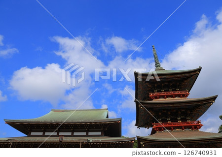 有秋葉的一個庭院 126740931