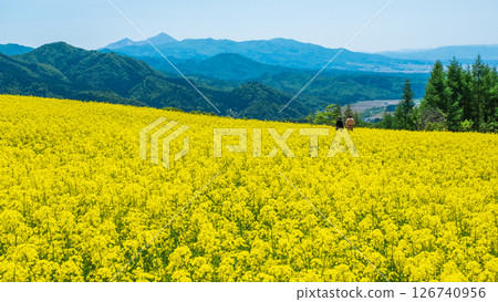 Sannokura Highlands rapeseed flower field: overlooking Mount Bandai 126740956