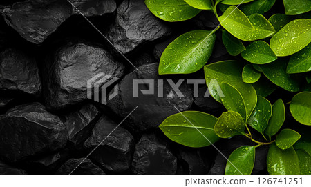 AI-generated image of black and white natural stones and green leaves on a dark grey background 126741251