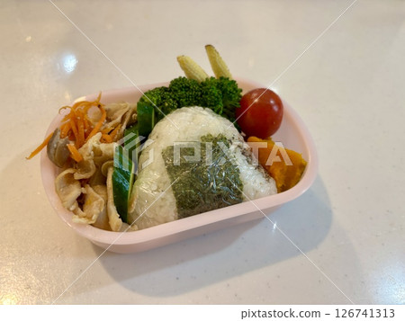 Children's lunch box 126741313