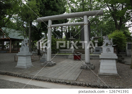 府中大國魂神社 126741391