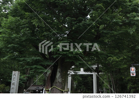 府中大國魂神社 府中大國魂神社 126741392