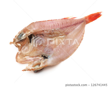 乾石斑魚 126741445