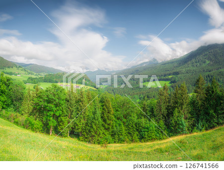 Meadow with road in Berchtesgaden National Park 126741566