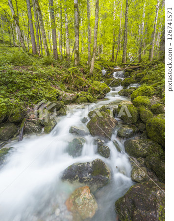 Rothbach Waterfall near Konigssee lake in Berchtesgaden National Park, Germany 126741571