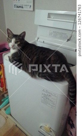 Sorry, from the top of the washing machine Sorry, from the top of the washing machine 126741763