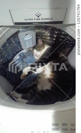It's cool inside the washing machine. It's cool inside the washing machine. 126741764