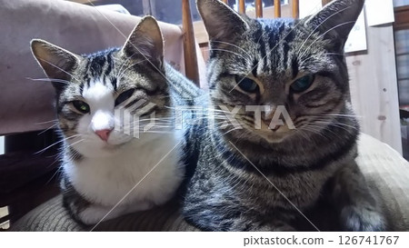 Parent-child love Parent-child love 126741767