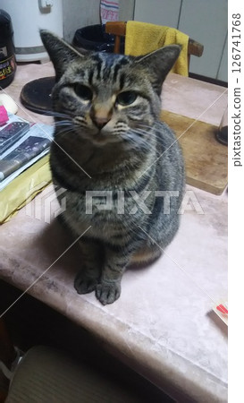 I want you to only look at me 126741768