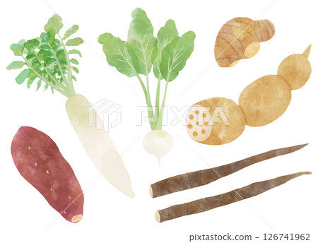 日本根莖類蔬菜組（牛蒡、蓮藕、蘿蔔等）水彩畫 126741962