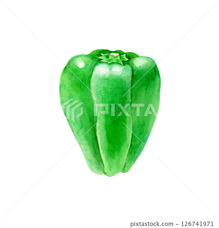 Bell pepper vegetable watercolor illustration 126741971